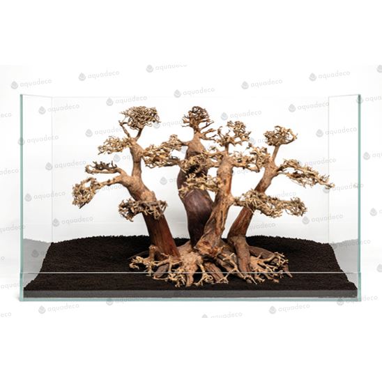 Forest bonsai L