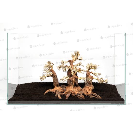 Forest bonsai M