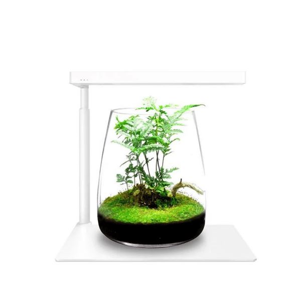 ONF Moss Micro Landscape Bundle