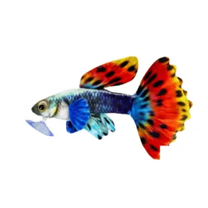 Plyšák Guppy