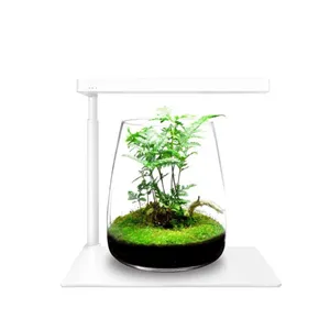 ONF Moss Micro Landscape Bundle