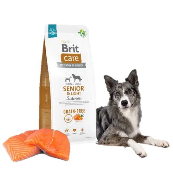 Brit Care Dog Grain-free Senior & Light Salmon 12 kg