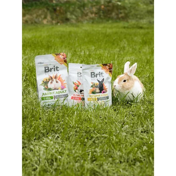 Brit Animals Rabbit Adult Complete 300 g 