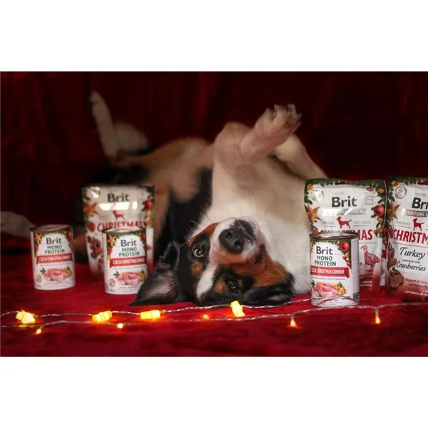 Brit Care Dog Functional Snack Christmas Edition 150 g