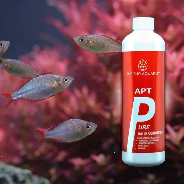 2Hr APTp Pure 200 ml