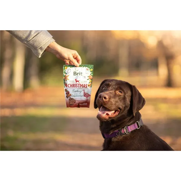 Brit Care Dog Functional Snack Christmas Edition 150 g